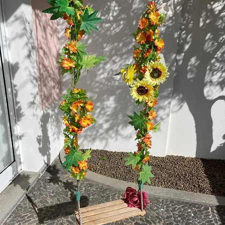 Susy's Garden