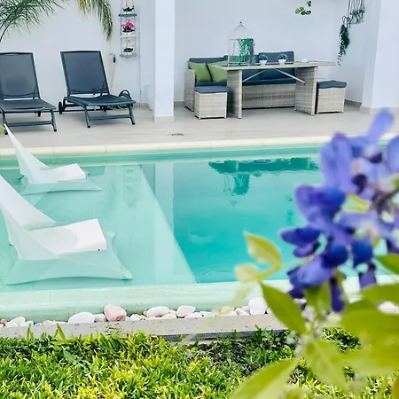 Susy's Garden * Funchal (Madeira)