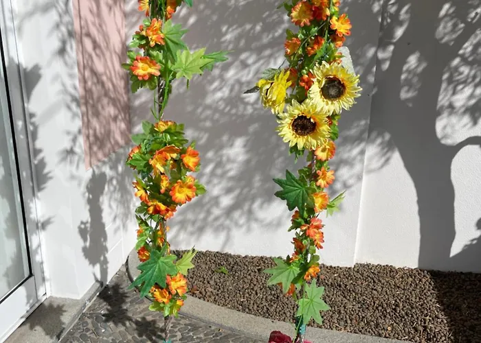 Susy’s Garden